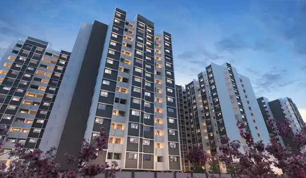 Image hover effect image