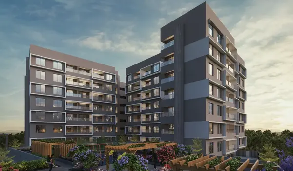 Image hover effect image